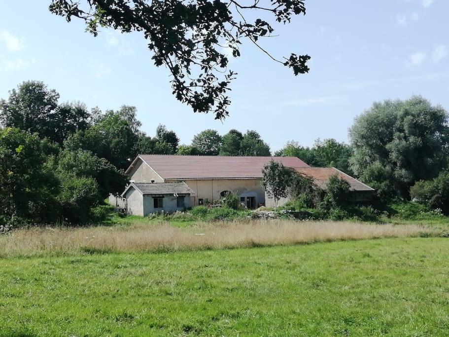 Studio Aux Granges Du Vilaret Lejlighed Clairvaux-les-Lacs Eksteriør billede